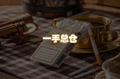 一手总仓